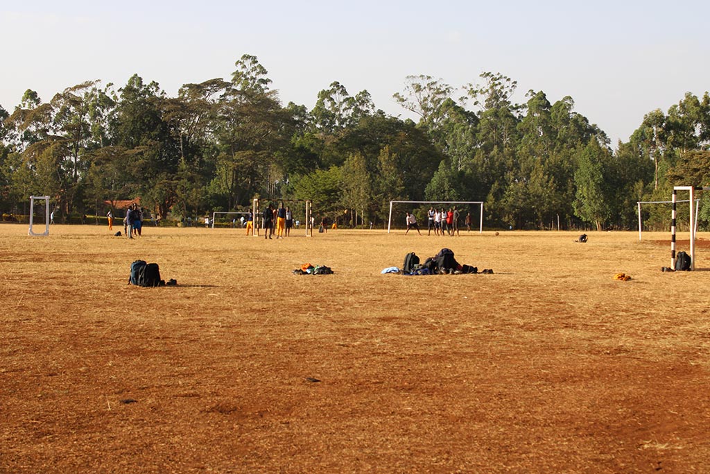 Whole-School Development